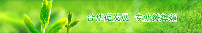 蜂蜜浏览器_1.jpg